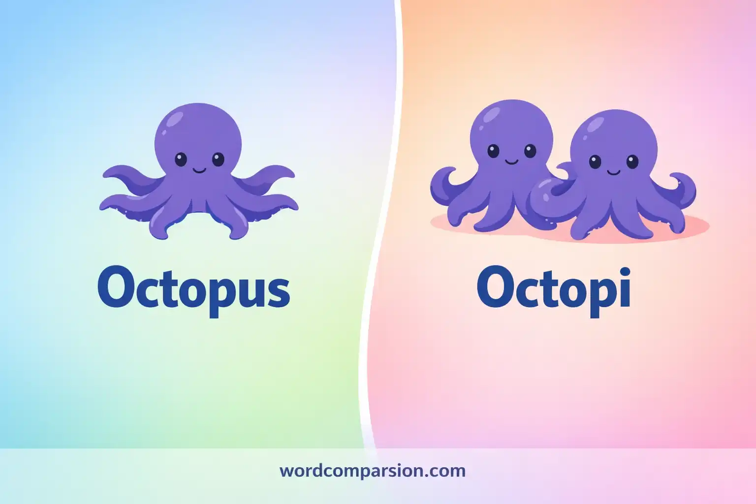 Octopus or Octopi